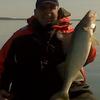 Walleye and Perch fishing charters on Lake Erie...Western Basin...Juls Walleye Fishing Adventures