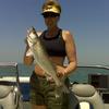 Walleye and Perch fishing charters on Lake Erie...Western Basin...Juls Walleye Fishing Adventures