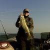 Walleye and Perch fishing charters on Lake Erie...Western Basin...Juls Walleye Fishing Adventures