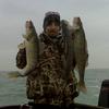 Walleye and Perch fishing charters on Lake Erie...Western Basin...Juls Walleye Fishing Adventures