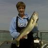 Walleye and Perch fishing charters on Lake Erie...Western Basin...Juls Walleye Fishing Adventures