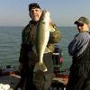 Walleye and Perch fishing charters on Lake Erie...Western Basin...Juls Walleye Fishing Adventures