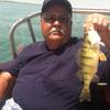 Walleye and Perch fishing charters on Lake Erie...Western Basin...Juls Walleye Fishing Adventures