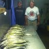 Walleye and Perch fishing charters on Lake Erie...Western Basin...Juls Walleye Fishing Adventures