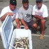 Walleye and Perch fishing charters on Lake Erie...Western Basin...Juls Walleye Fishing Adventures