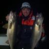 Walleye and Perch fishing charters on Lake Erie...Western Basin...Juls Walleye Fishing Adventures