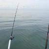 Walleye and Perch fishing charters on Lake Erie...Western Basin...Juls Walleye Fishing Adventures