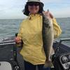 Walleye and Perch fishing charters on Lake Erie...Western Basin...Juls Walleye Fishing Adventures