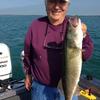 Walleye and Perch fishing charters on Lake Erie...Western Basin...Juls Walleye Fishing Adventures