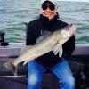 Walleye and Perch fishing charters on Lake Erie...Western Basin...Juls Walleye Fishing Adventures