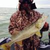 Walleye and Perch fishing charters on Lake Erie...Western Basin...Juls Walleye Fishing Adventures