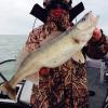 Walleye and Perch fishing charters on Lake Erie...Western Basin...Juls Walleye Fishing Adventures