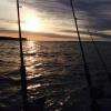 Walleye and Perch fishing charters on Lake Erie...Western Basin...Juls Walleye Fishing Adventures