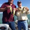 Walleye and Perch fishing charters on Lake Erie...Western Basin...Juls Walleye Fishing Adventures