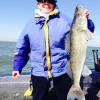 Walleye and Perch fishing charters on Lake Erie...Western Basin...Juls Walleye Fishing Adventures