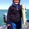 Walleye and Perch fishing charters on Lake Erie...Western Basin...Juls Walleye Fishing Adventures