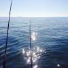 Walleye and Perch fishing charters on Lake Erie...Western Basin...Juls Walleye Fishing Adventures