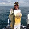 Walleye and Perch fishing charters on Lake Erie...Western Basin...Juls Walleye Fishing Adventures