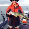 Walleye and Perch fishing charters on Lake Erie...Western Basin...Juls Walleye Fishing Adventures