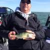 Walleye and Perch fishing charters on Lake Erie...Western Basin...Juls Walleye Fishing Adventures