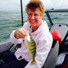 Walleye and Perch fishing charters on Lake Erie...Western Basin...Juls Walleye Fishing Adventures