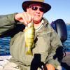 Walleye and Perch fishing charters on Lake Erie...Western Basin...Juls Walleye Fishing Adventures