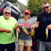 Walleye and Perch fishing charters on Lake Erie...Western Basin...Juls Walleye Fishing Adventures