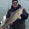 Walleye and Perch fishing charters on Lake Erie...Western Basin...Juls Walleye Fishing Adventures