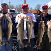 Walleye and Perch fishing charters on Lake Erie...Western Basin...Juls Walleye Fishing Adventures