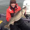 Walleye and Perch fishing charters on Lake Erie...Western Basin...Juls Walleye Fishing Adventures