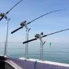 Walleye and Perch fishing charters on Lake Erie...Western Basin...Juls Walleye Fishing Adventures