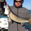 Walleye and Perch fishing charters on Lake Erie...Western Basin...Juls Walleye Fishing Adventures