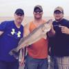 Walleye and Perch fishing charters on Lake Erie...Western Basin...Juls Walleye Fishing Adventures