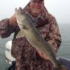 Walleye and Perch fishing charters on Lake Erie...Western Basin...Juls Walleye Fishing Adventures