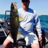 Walleye and Perch fishing charters on Lake Erie...Western Basin...Juls Walleye Fishing Adventures