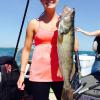 Walleye and Perch fishing charters on Lake Erie...Western Basin...Juls Walleye Fishing Adventures