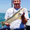 Walleye and Perch fishing charters on Lake Erie...Western Basin...Juls Walleye Fishing Adventures