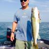 Walleye and Perch fishing charters on Lake Erie...Western Basin...Juls Walleye Fishing Adventures