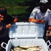 Walleye and Perch fishing charters on Lake Erie...Western Basin...Juls Walleye Fishing Adventures