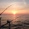 Walleye and Perch fishing charters on Lake Erie...Western Basin...Juls Walleye Fishing Adventures