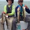 Walleye and Perch fishing charters on Lake Erie...Western Basin...Juls Walleye Fishing Adventures