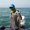 Walleye and Perch fishing charters on Lake Erie...Western Basin...Juls Walleye Fishing Adventures