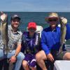 Walleye and Perch fishing charters on Lake Erie...Western Basin...Juls Walleye Fishing Adventures