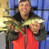 Walleye and Perch fishing on Lake Erie with Juls Walleye Fishing Adventures