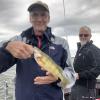 Lake Erie Perch Fishing